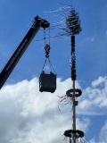 Absicherung_Maibaum_2023_3