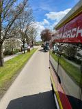 Absicherung_Maibaum_2023_4